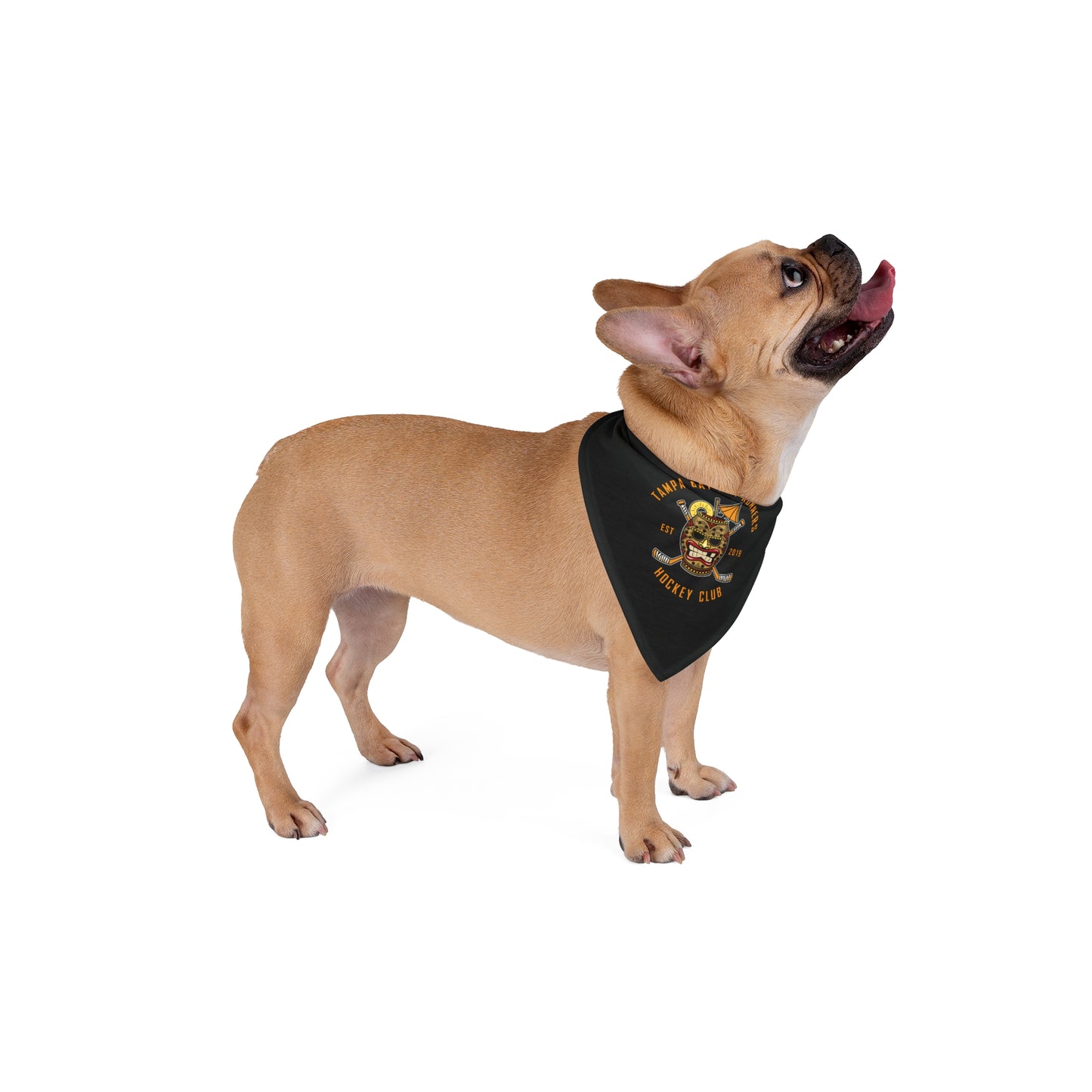 Pet Bandana - Perfect for Dog Lovers & Celebrations!